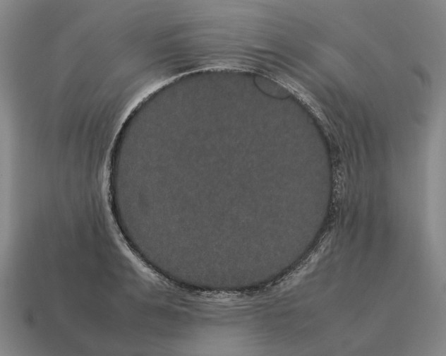 X0000115120991200911101623