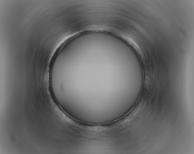 X0000115120992200911101623