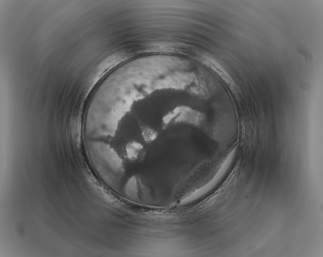 X0000115120994200911101623