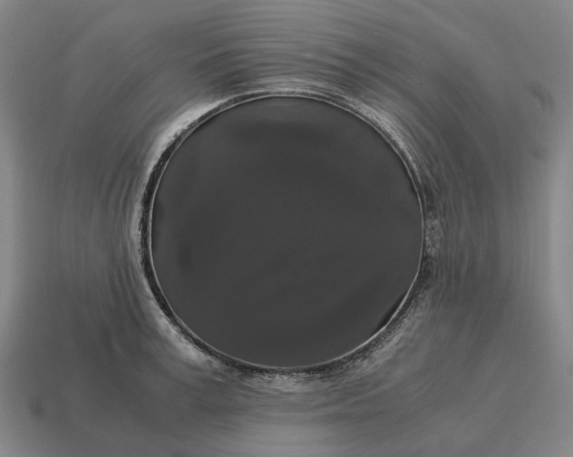 X0000115120995200911101623