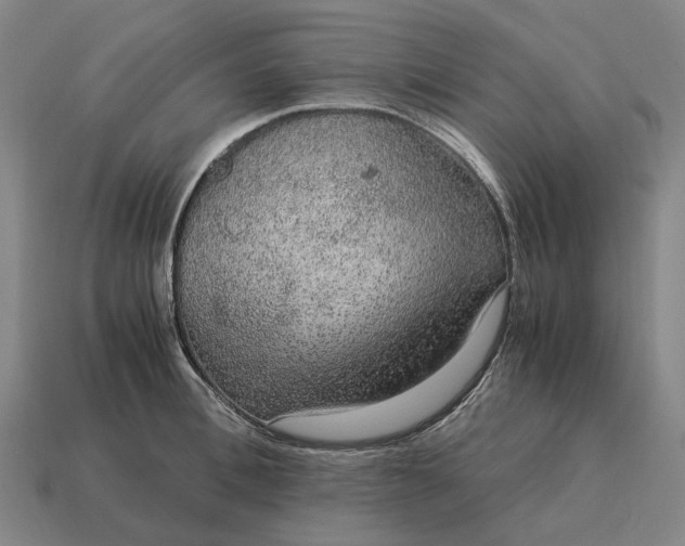 X0000115120996200911101623