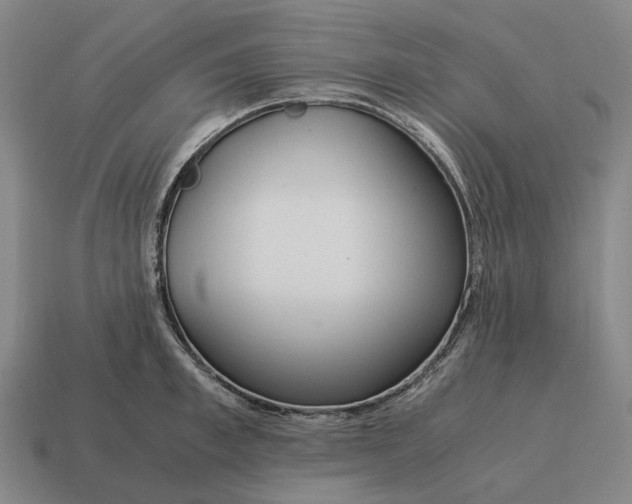 X0000115120997200911101623