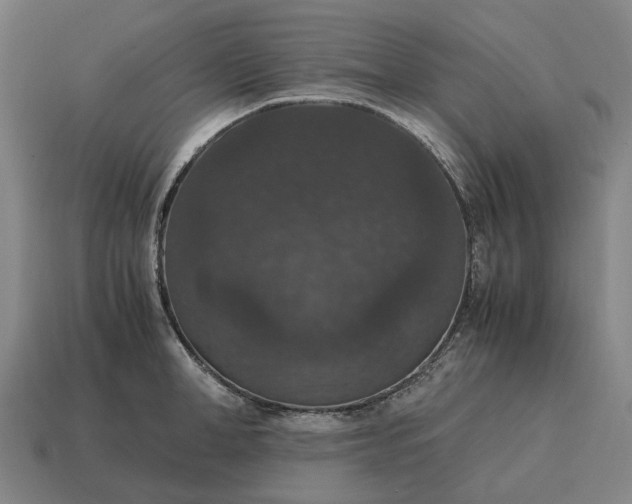X0000115120998200911101623