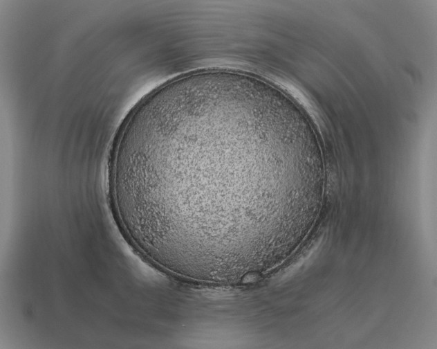 X0000115120999200911101623