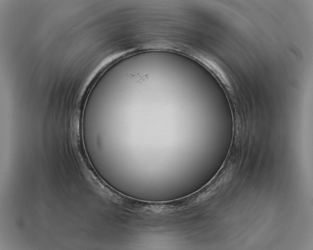 X0000115121000200911101622