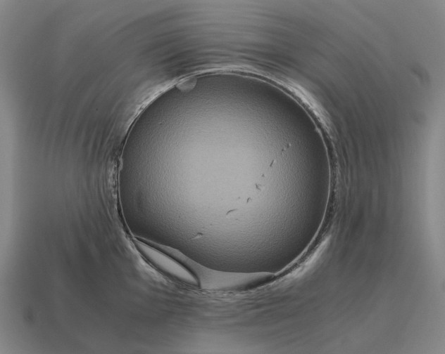 X0000115121001200911101622