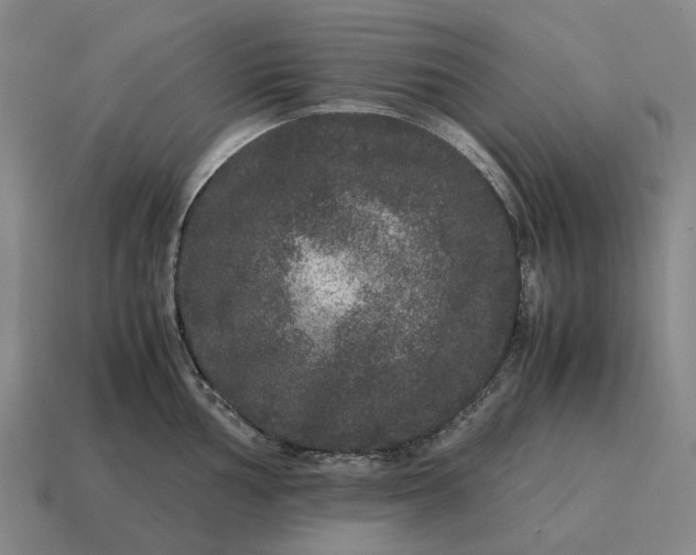 X0000115121002200911101622