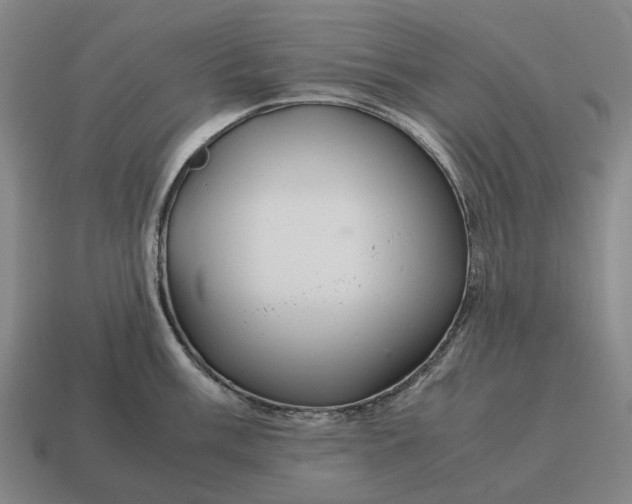 X0000115121003200911101622