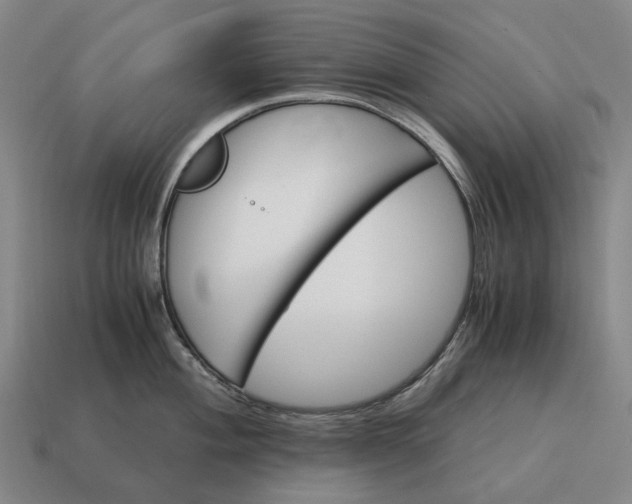 X0000115121004200911101622