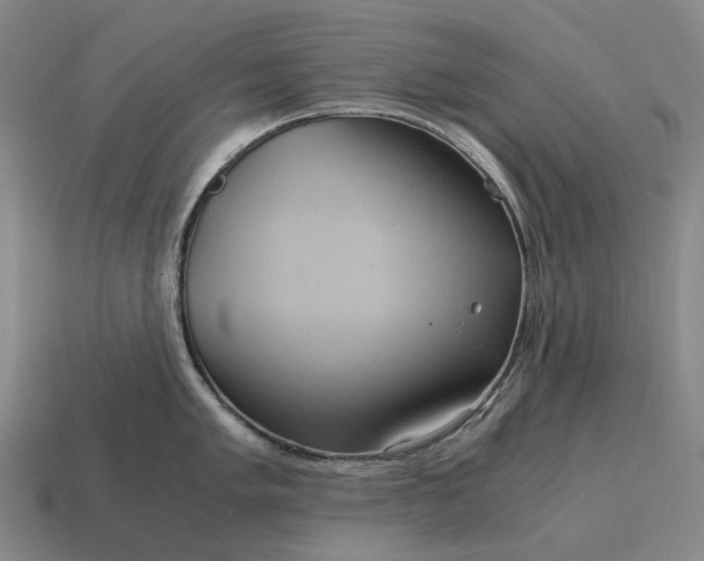 X0000115121005200911101622