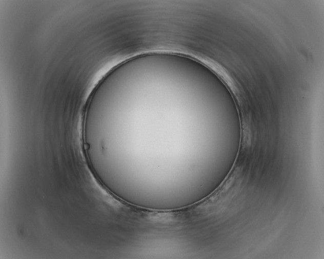 X0000115121006200911101622