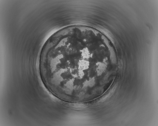 X0000115121007200911101622