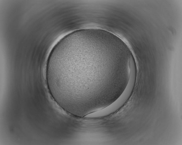 X0000115121008200911101622