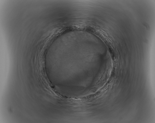 X0000115121009200911101622