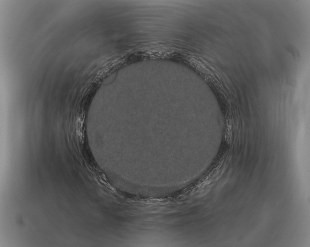 X0000115121010200911101622