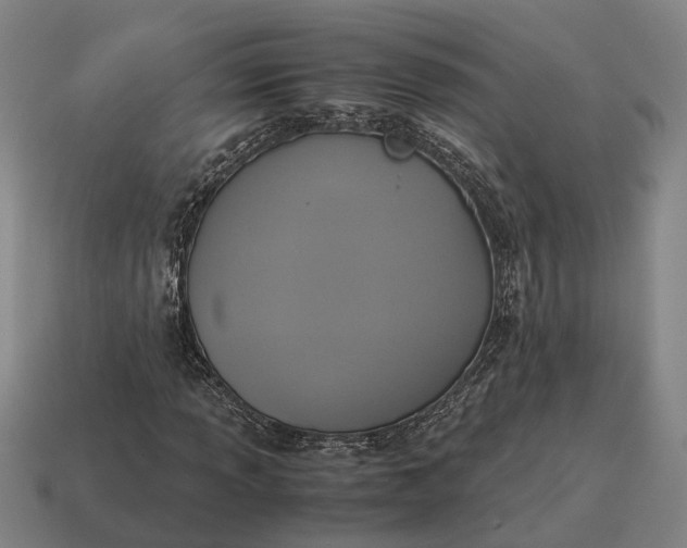 X0000115121013200911101622