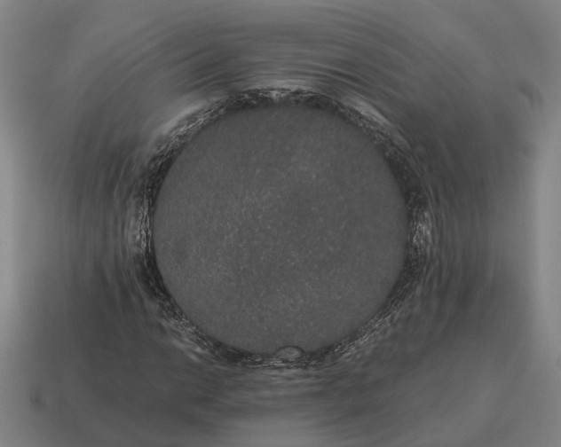 X0000115121014200911101622