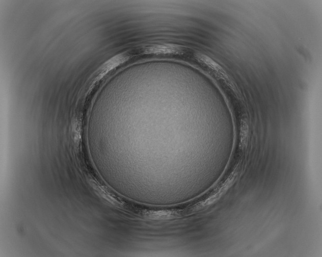 X0000115121017200911101622