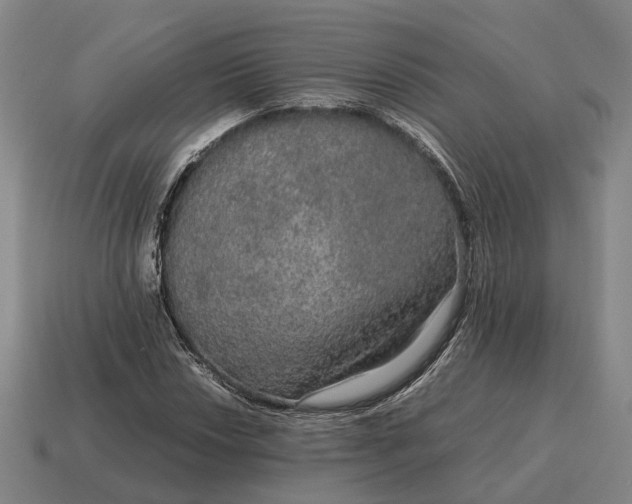 X0000115121018200911101622