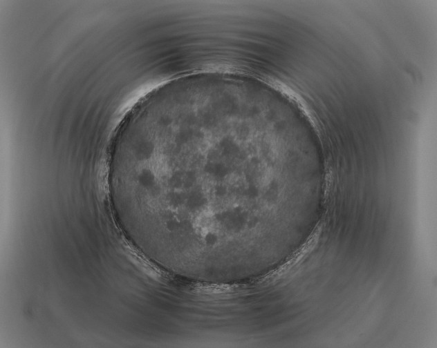 X0000115121019200911101622