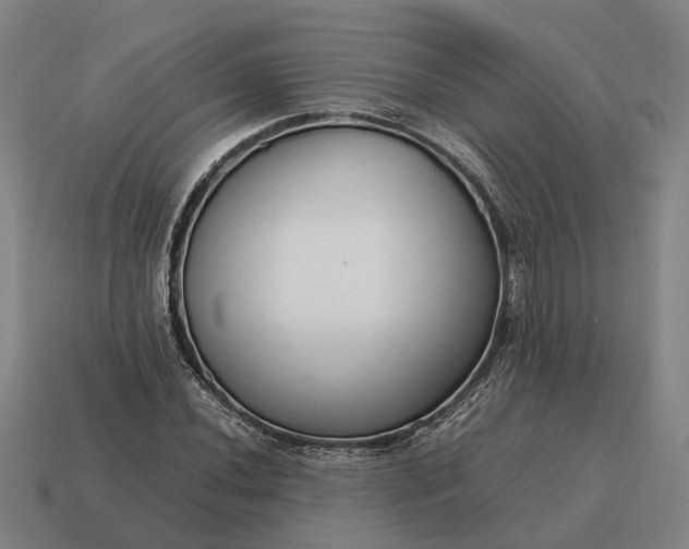 X0000115121020200911101622
