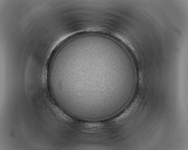 X0000115121021200911101622