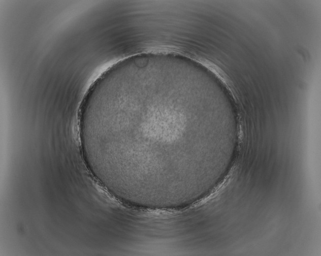 X0000115121022200911101622