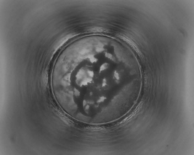 X0000115121023200911101622