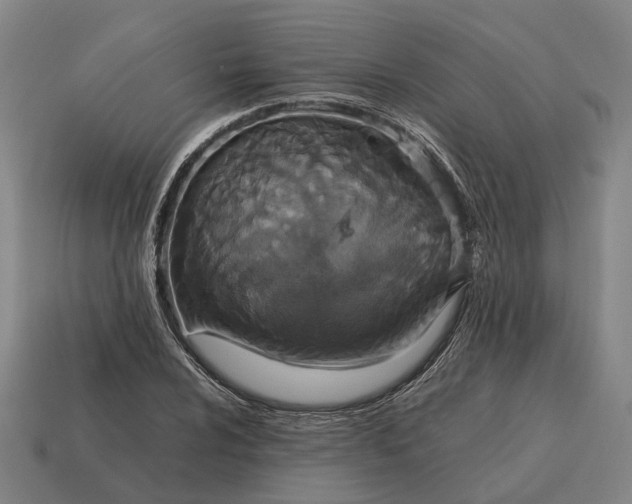 X0000115121024200911101622
