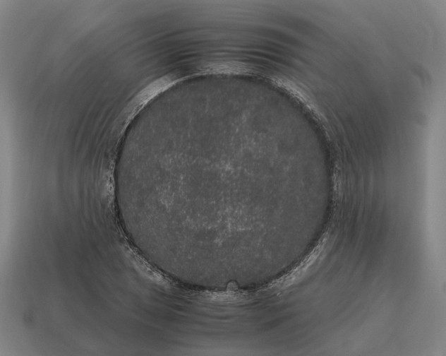 X0000115121025200911101622