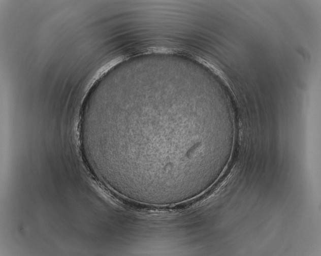 X0000115121026200911101622