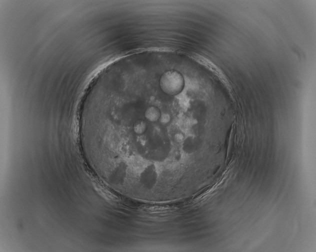 X0000115121027200911101622