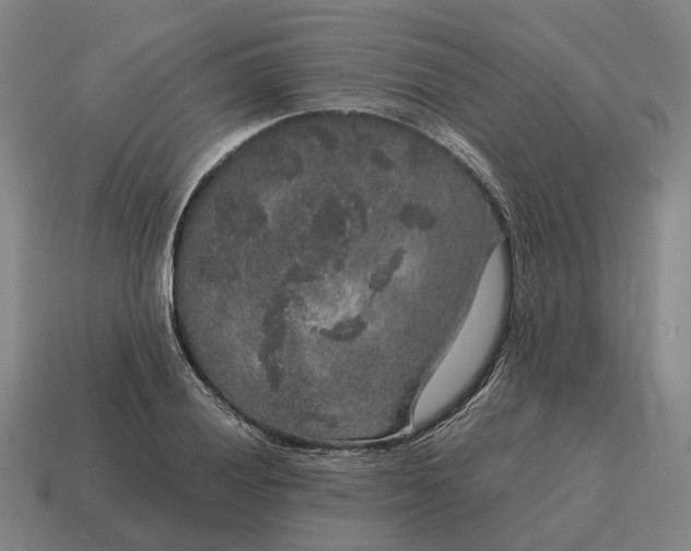 X0000115121028200911101622