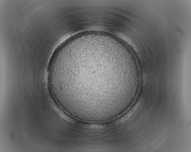 X0000115121029200911101622