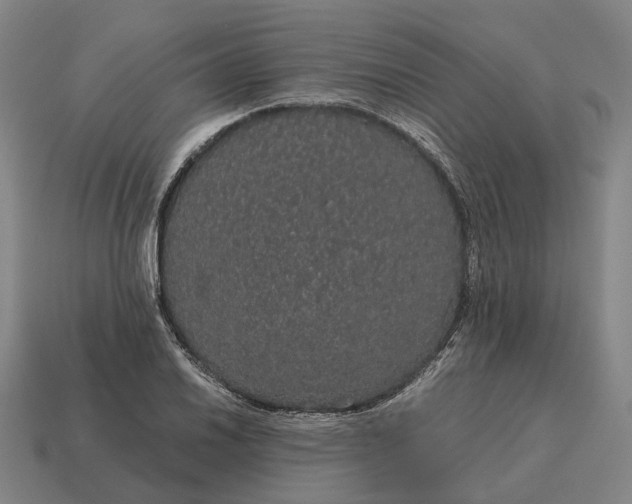 X0000115121030200911101622