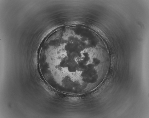 X0000115121031200911101622