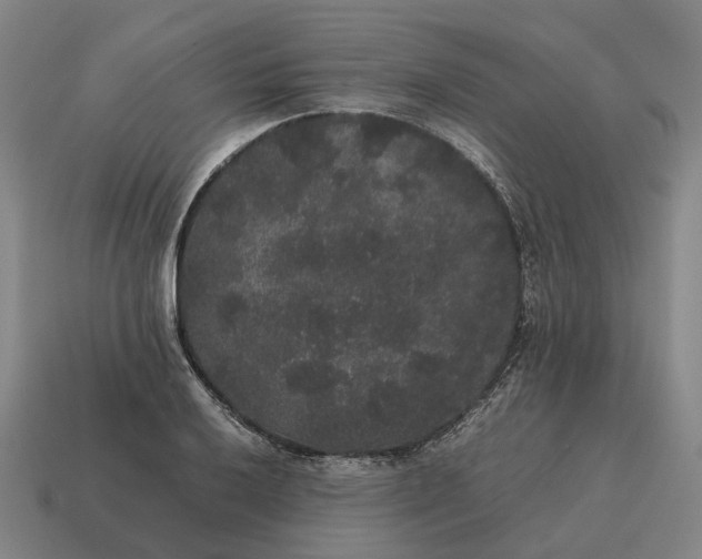 X0000115121032200911101622