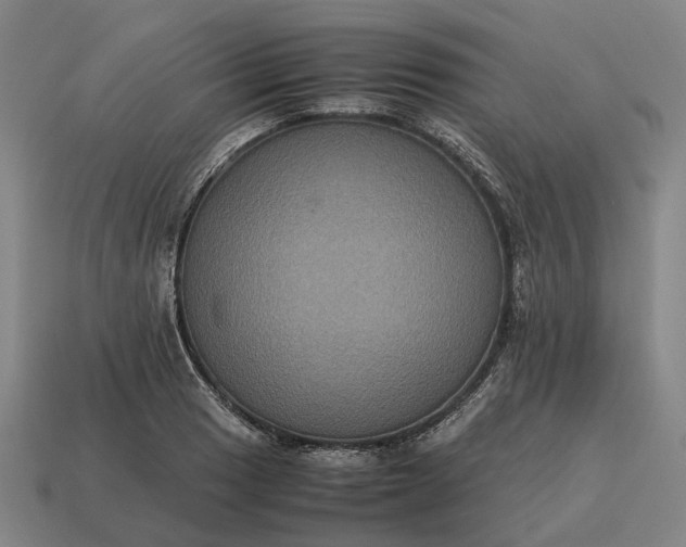 X0000115121033200911101622