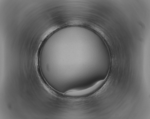 X0000115121034200911101622