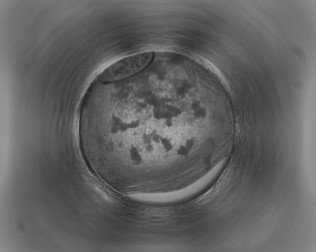 X0000115121035200911101622