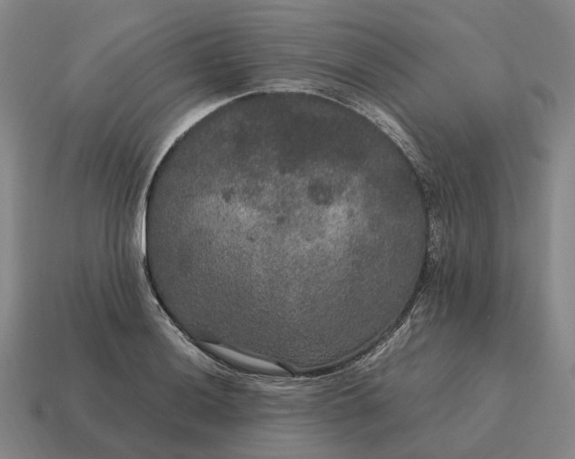 X0000115121036200911101622