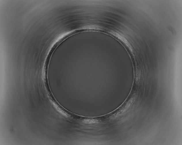 X0000115121037200911101622