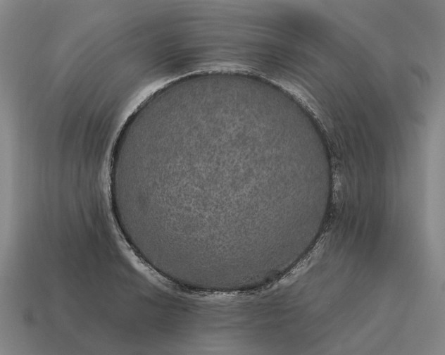 X0000115121038200911101622
