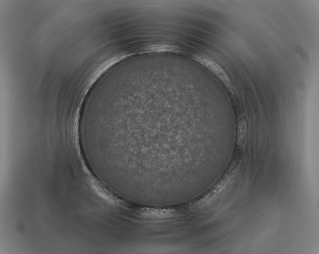 X0000115121039200911101622