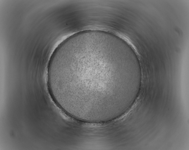 X0000115121040200911101622