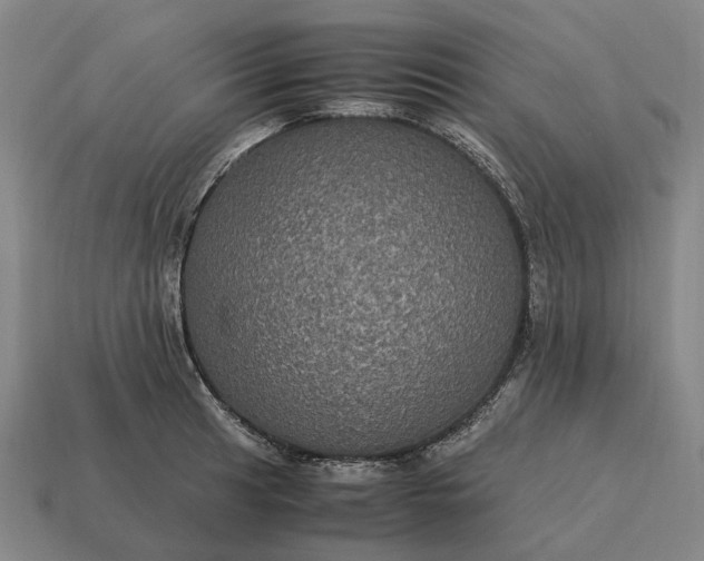 X0000115121041200911101622