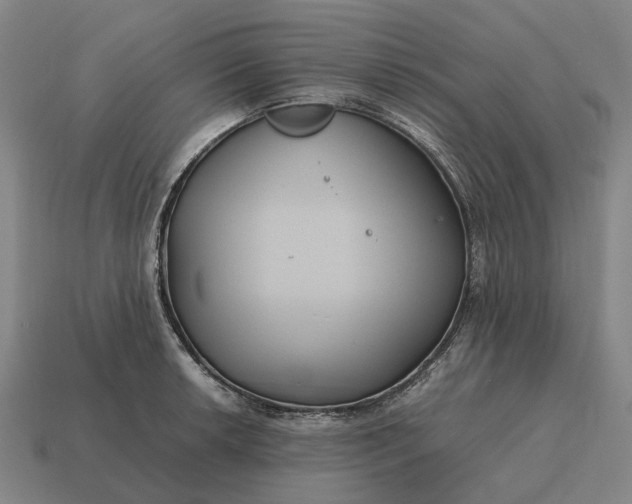 X0000115121042200911101622