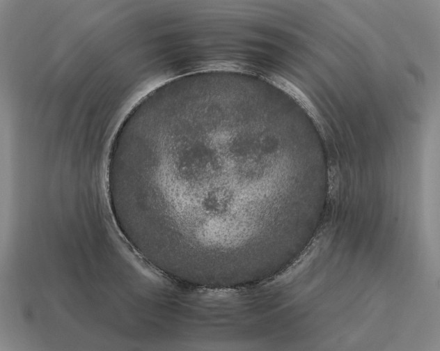 X0000115121043200911101622