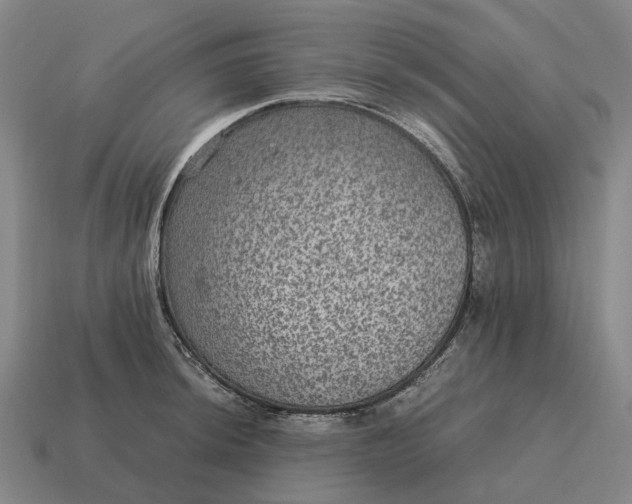 X0000115121044200911101622