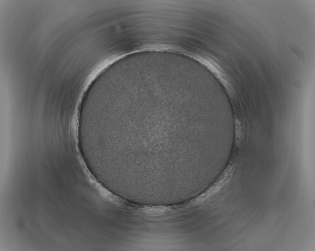 X0000115121046200911101622
